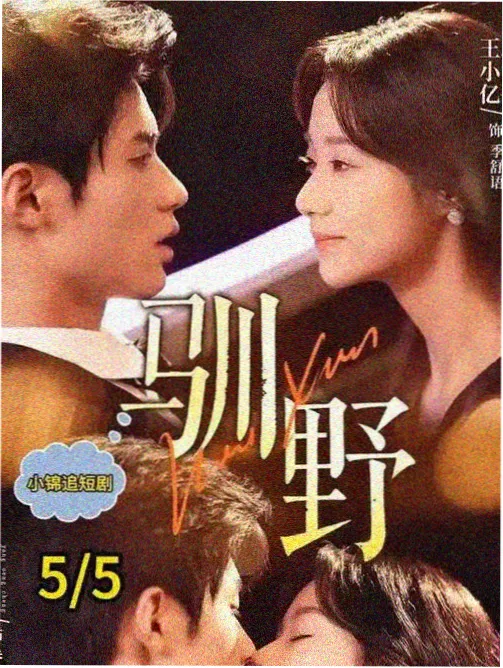 YY4410影视电视剧 长风渡
